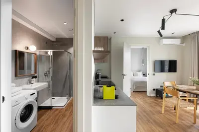 a kitchen and living room with a washing machine at Nemunas Park Apartment in Prienai