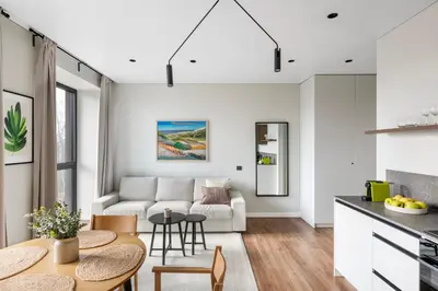 a living room with a couch and a table at Nemunas Park Apartment in Prienai