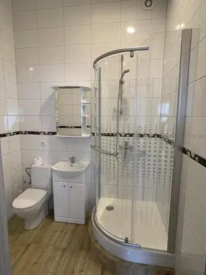a bathroom with a shower and a toilet and a sink at Vilijos apartamentai in Kaunas