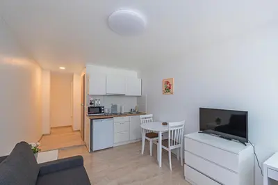 a kitchen and living room with a couch and a television at Partizanų studio apartment #3 by Polo Apartments in Kaunas