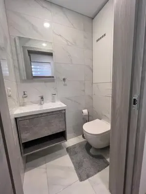 a bathroom with a toilet and a sink and a mirror at Kepezinski SPA apartments in Kaunas