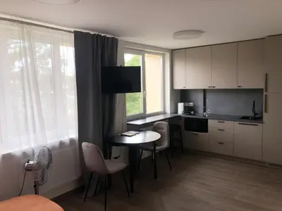 a kitchen with a table and chairs in a room at TWIX dvi skirtingos gretimos erdvės in Birštonas