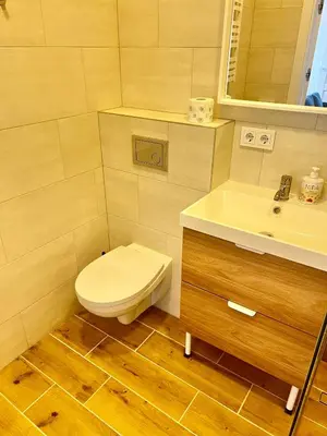a bathroom with a toilet and a sink at Gedimino 19 apartments in the old town of Ukmergė in Ukmergė