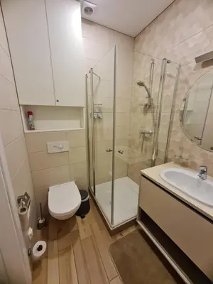 a bathroom with a shower and a toilet and a sink at Saulės Muzika in Druskininkai