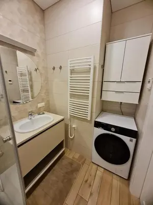 a small bathroom with a sink and a washing machine at Saulės Muzika in Druskininkai