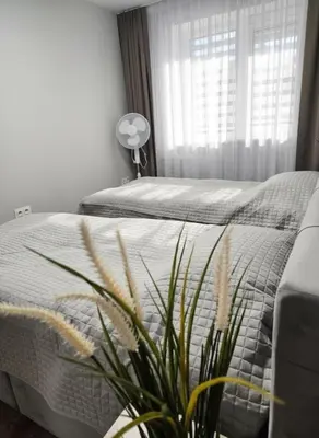 a bedroom with a bed and a plant in front of a window at Trakai City apartment 2-bedroom in Šiauliai