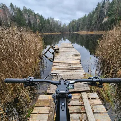 a bike on a wooden bridge over a lake at Calm garden Suite near Green Lakes in Vilnius