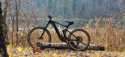 a bike sitting on top of a tree stump at Calm garden Suite near Green Lakes in Vilnius