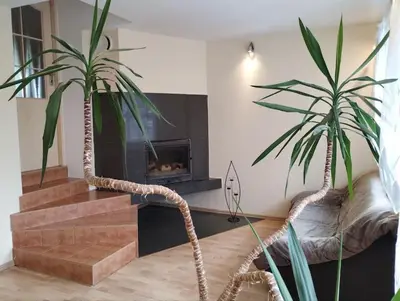 two palm trees in a living room with a fireplace at A Tranquil Oasis, Lakeview Home in Lapes Kaunas in Lapės