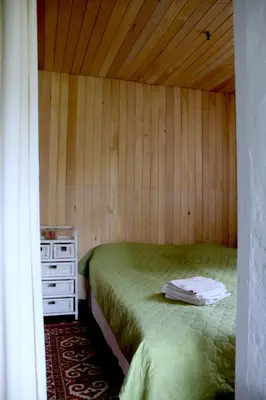 a bedroom with a green bed and a wooden wall at kaimo turizmo sodyba Fliorencija in Pasandravys