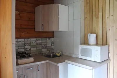 a kitchen with a white microwave and a sink at kaimo turizmo sodyba Fliorencija in Pasandravys