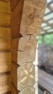 a close up of a wooden wall with a tree trunk at Pirtis su ežero pakrante Trakai in Salkininkai