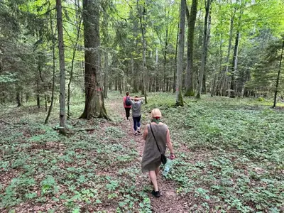 three people walking on a trail in the woods at Žalioji vila in Varteliai