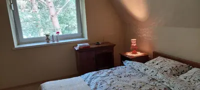 a bedroom with a bed and a window at Žalioji vila in Varteliai