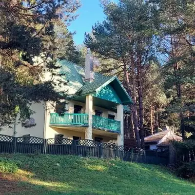Žalioji vila