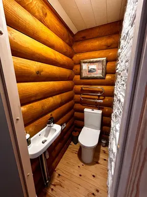 a bathroom with wooden walls and a toilet and a sink at Pavasario Namai & SPA in Butrimiškiai