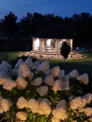 a garden with white flowers in the foreground at Pavasario Namai & SPA in Butrimiškiai