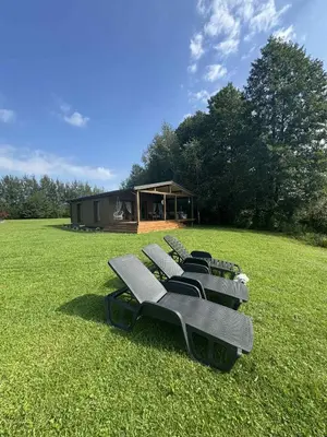 a row of chairs in a field with a cabin at Poilsio Pieva in Ąžuolų Būda