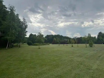 a large field with trees in the middle of it at Poilsio Pieva in Ąžuolų Būda