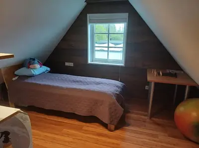 a bedroom with a bed and a window at Namelis su pirtimi in Kaunas
