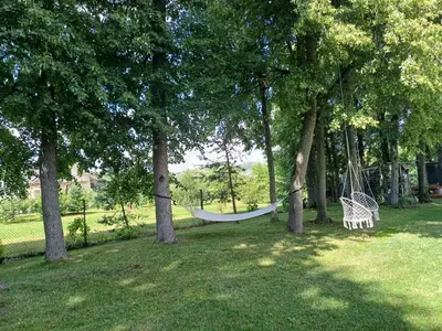 a hammock in the middle of a park with trees at Namelis su pirtimi in Kaunas