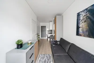 a living room with a couch and a table at Central Cozy 1Bedroom Apartment with Sofa Bed - Sleeps 4 in Vilnius