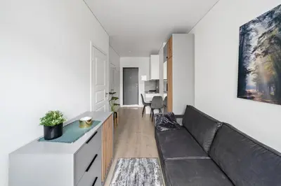 a living room with a couch and a table at Central Cozy 1Bedroom Apartment with Sofa Bed - Sleeps 4 in Vilnius