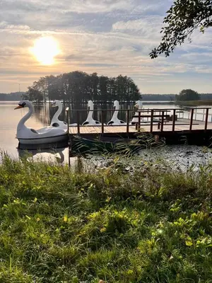 a group of swans sitting on a dock in the water at Tytuvėnai-trumpalaikė nuoma in Tytuvėnai