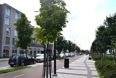 a street with trees on the side of the road at Cozy apartment located near to Paupys in Vilnius
