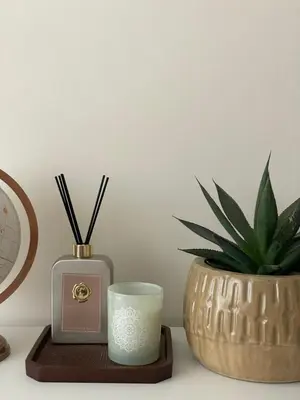 a candle on a wooden tray next to a potted plant at Moss Suite in Druskininkai