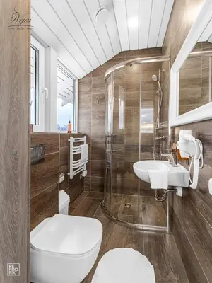 a bathroom with a toilet and a shower and a sink at Cozy stay by Kaunas vila 9Vėjai in Girininkai