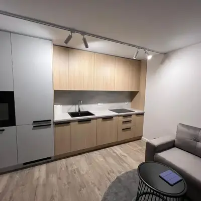 Peaceful Apartment Lazdynai