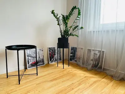 a plant in a room with pictures on the wall at Karoliniškių apartamentai in Vilnius