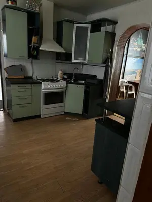 a kitchen with green cabinets and a stove at Svečių Namai Darželis in Šiauliai