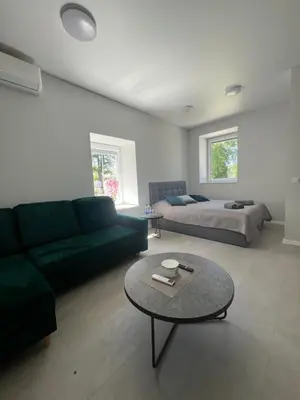 a living room with a couch and a bed and a table at Mintare in Šveicarija