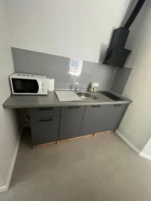 a small kitchen with a sink and a microwave at Mintare in Šveicarija