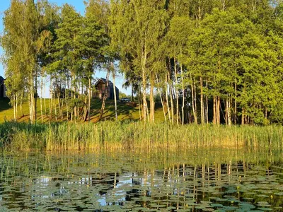 a body of water with trees in the background at Sofijos Slėnis in Pakniškiai