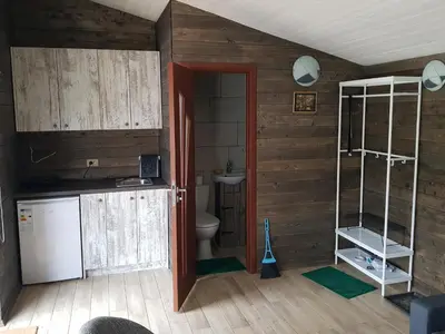 a bathroom with a sink and a toilet in a room at Merkioaidas in Sližiūnai