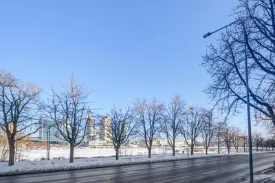 a snowy street with trees and a street light at Modern Apartment near Old Town & River in City Center in Vilnius