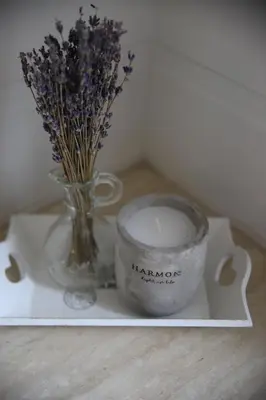 a candle and a vase with flowers on a shelf at Butterfly apartment in Šiauliai