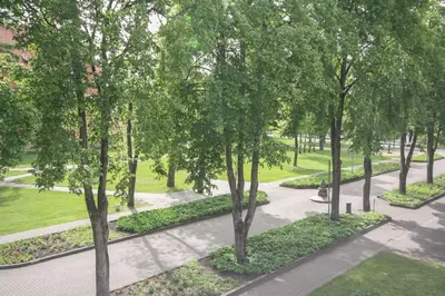 an overhead view of a park with trees and a sidewalk at Apartamentai Vilniaus alėjoje in Druskininkai