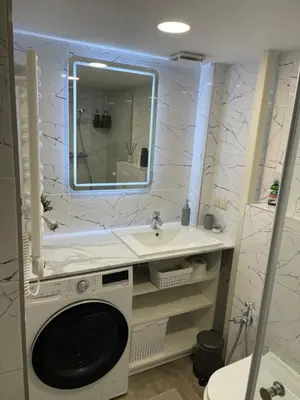 a bathroom with a washing machine and a sink at Mini loft in Kaunas