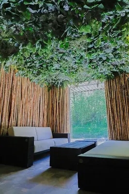 a living room with a couch and plants on the ceiling at Sodyba Mėnulio Slėnis in Padubysys