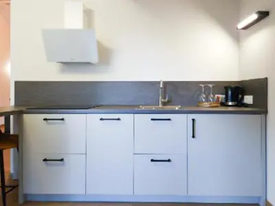 a kitchen with a sink and white cabinets at Rossak apartment 2 in Panevėžys