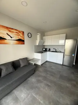 a living room with a couch and a kitchen at Bright and cozy place to stay in Vilnius