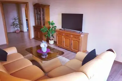 a living room with a couch and a tv at Lyra cozy large apartment in Šiauliai