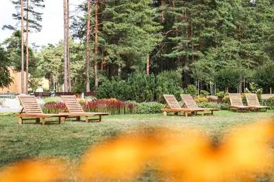a row of lounge chairs sitting in the grass at Medical SPA 