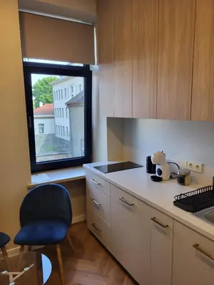 a kitchen with a window and a sink and a counter at Greenhill Trio in Kaunas
