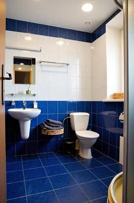 a blue tiled bathroom with a toilet and a sink at Cozy Family Apartments in Druskininkai