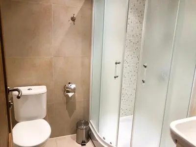 a bathroom with a shower and a toilet and a sink at Pas Radvila in Kaišiadorys